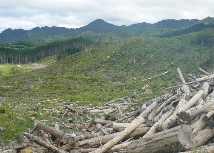  at Lot 65 Stoney Creek Road, Kaikohe, Far North, Northland