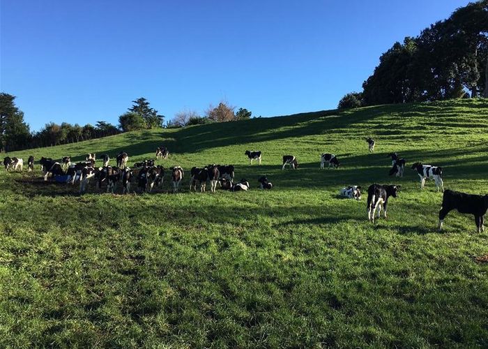  at 216 Whakamara Road, Hawera