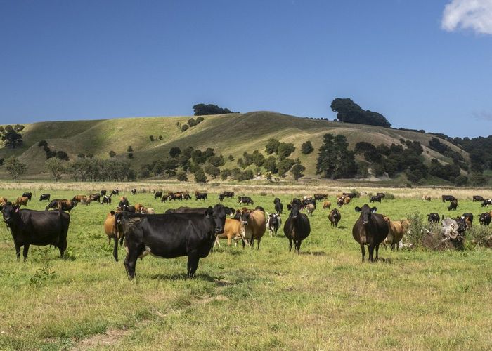  at 3068 Western Lake Road, Featherston, South Wairarapa, Wellington
