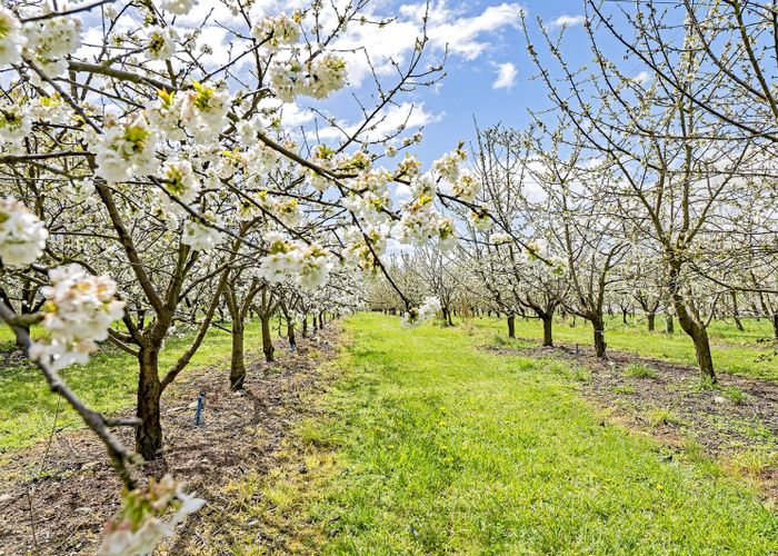  at 1520 Tram Road, Swannanoa, Rangiora