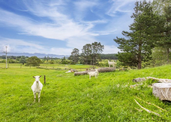  at 10 Tukituki Road, Waipukurau, Central Hawke's Bay, Hawke's Bay