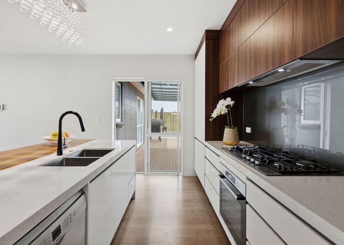  at 19 Horsefields Drive, Flat Bush, Manukau City, Auckland