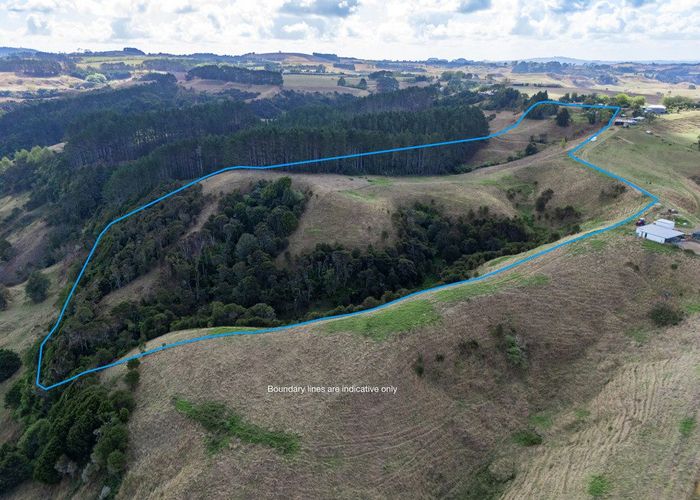 at 352 Kauri Road, Onewhero, Franklin, Auckland