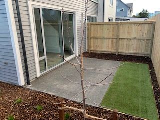  at 1/17 Sherborne Street, St. Albans, Christchurch City, Canterbury