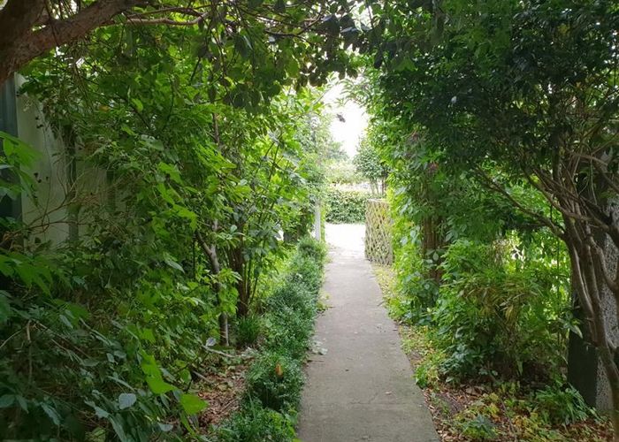  at 515A Grays Road, Mahora, Hastings, Hawke's Bay