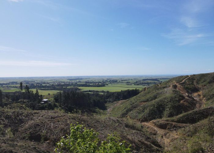  at 353 Pretoria Road, Shannon, Horowhenua, Manawatu / Whanganui