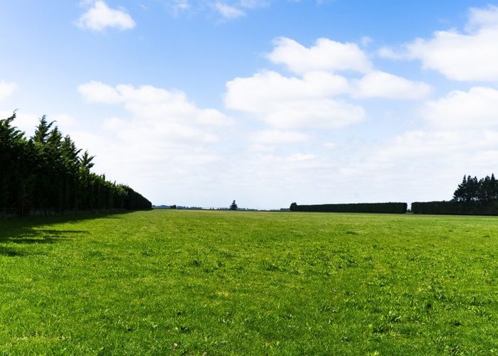 For sale Ridgens Road, Charing Cross, Selwyn, Canterbury homes.co.nz