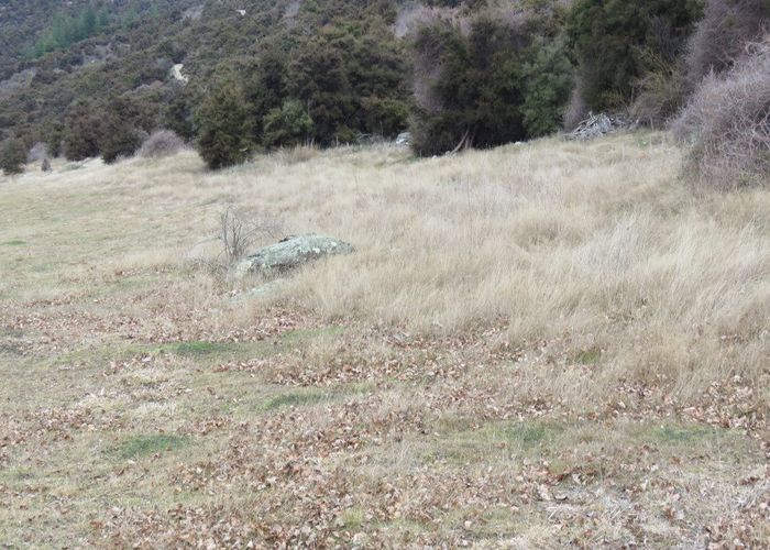  at 132 Willowbank Road, Queensberry, Wanaka, Otago