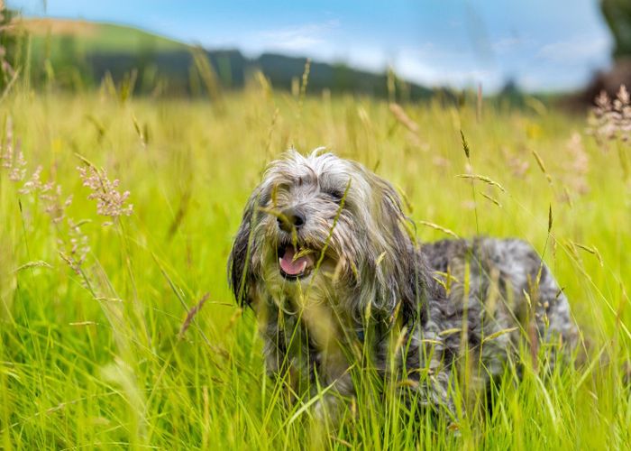  at 1 Boyldon Street, Lawrence, Clutha, Otago