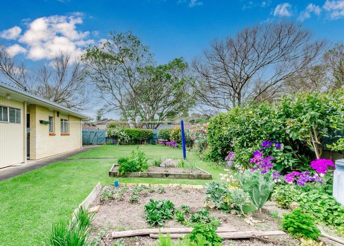 at 38 Alexander Road, Raumati Beach, Paraparaumu