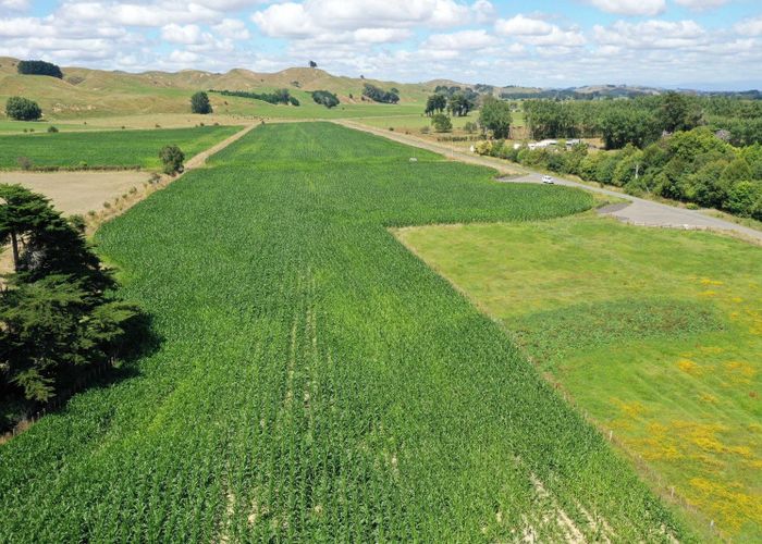  at Lot 4, 297 Oparatai Road, Pahiatua, Tararua, Manawatu / Whanganui