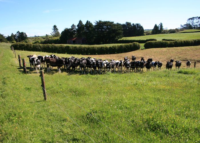  at 581r Pembroke Road, Stratford West, Stratford, Taranaki