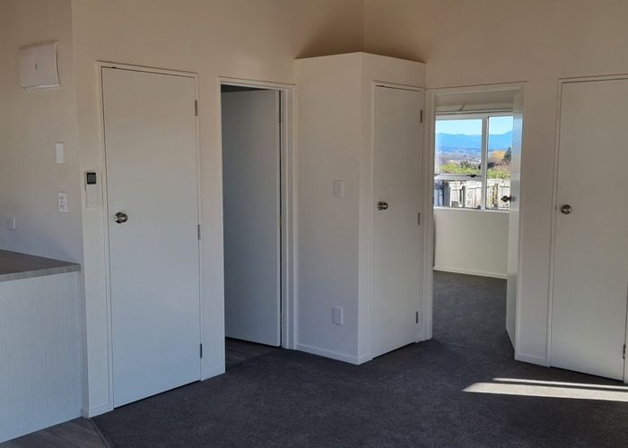  at 17 Highfield Grove, Richmond, Tasman, Nelson / Tasman