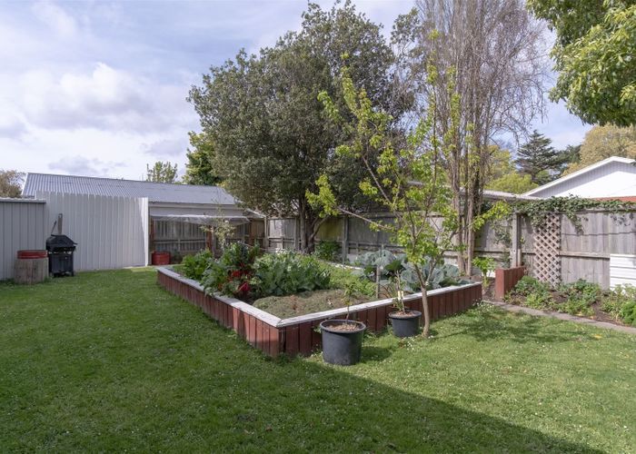  at 19 Arlington Street, Burnside, Christchurch
