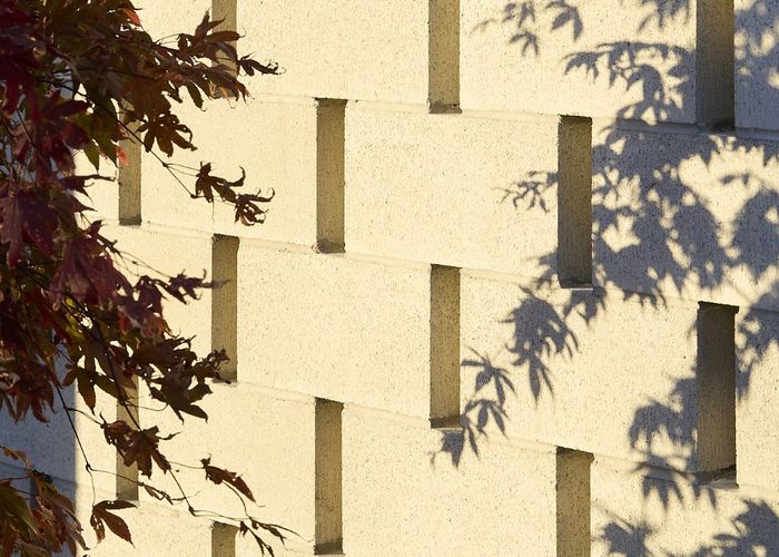  at 310 Lyttelton Street, Spreydon, Christchurch City, Canterbury