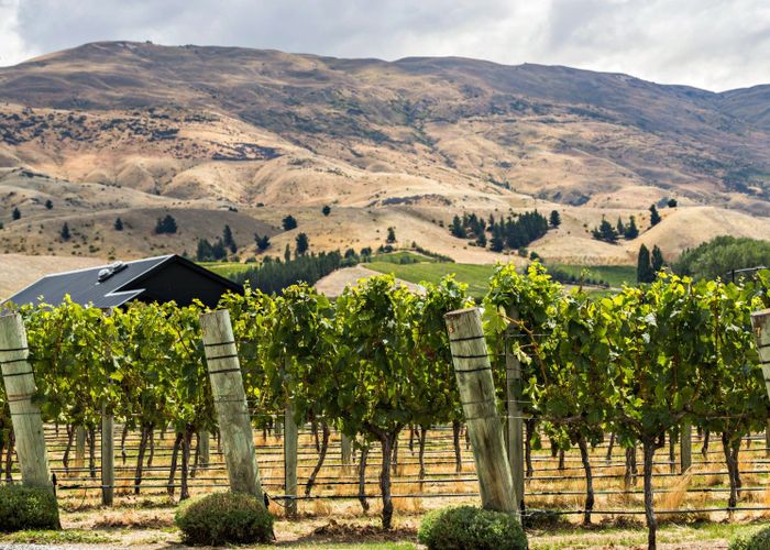  at 1 Shortcut Road, Cromwell, Central Otago, Otago