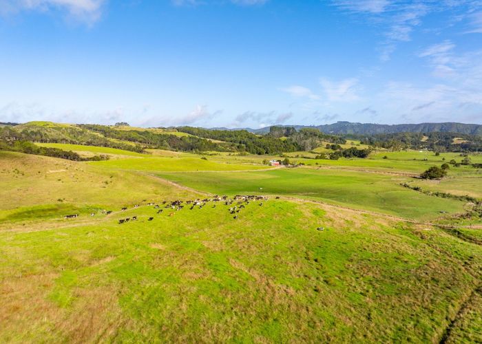  at Lot 4 Shieling Road, Waipu, Whangarei, Northland