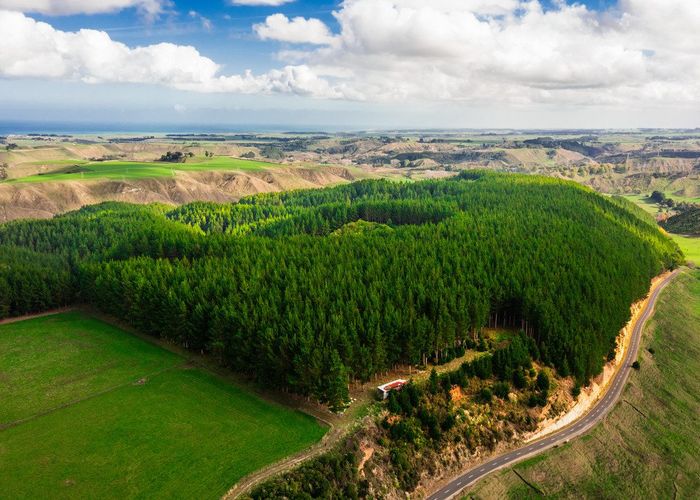  at Glencroft Forests 1, 2 & 3, Brunswick, Whanganui, Manawatu / Whanganui