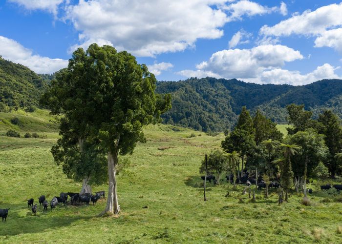  at 1221 Waitewhena Road, Taumarunui, Ruapehu, Manawatu / Whanganui