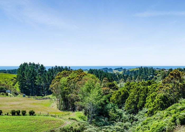  at 6 Te Ara Karoiroa, Omata, New Plymouth, Taranaki