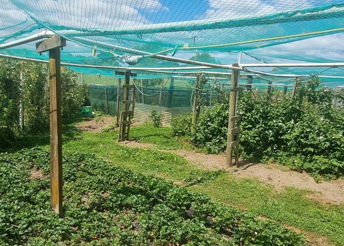  at 54 Mcleavey Road, Ohau, Levin