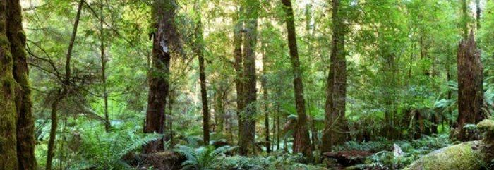  at Lot 424 Anurangi, Peacocke, Hamilton, Waikato