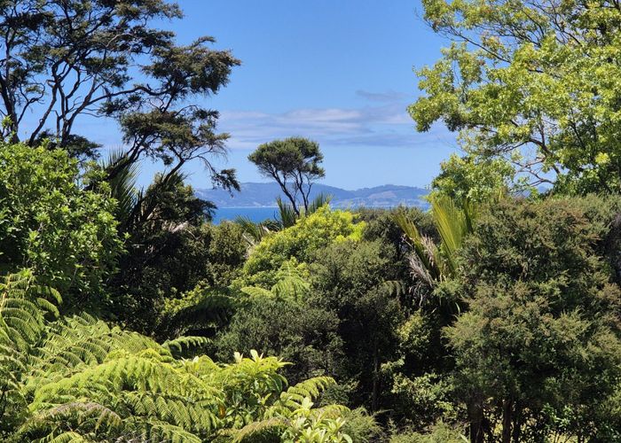 at 451 Tuateawa Road, Coromandel, Thames-Coromandel, Waikato