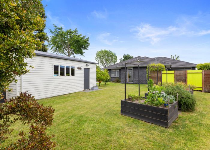  at 64 Conway Road, Te Puke