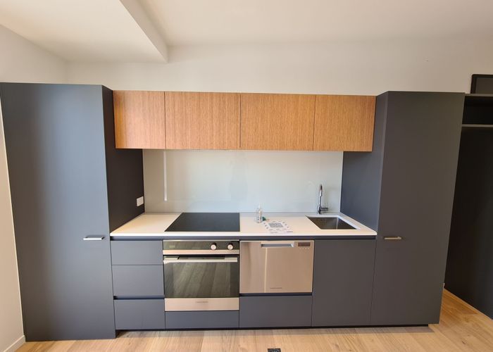  at 3/243 Cambridge Tce, City Centre, Christchurch City, Canterbury