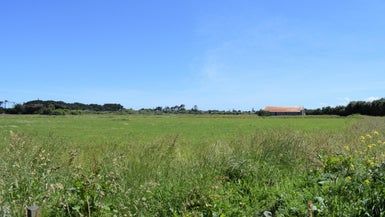  at 120 Rangiuru Road, Otaki Beach, Otaki
