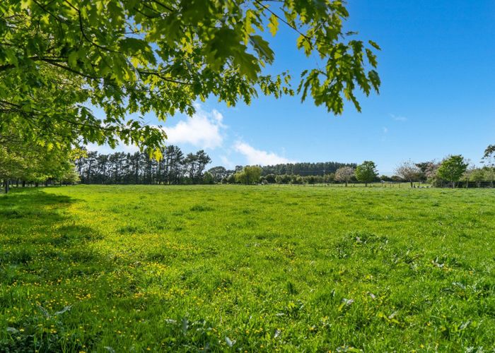  at 225 Chester Road, West Taratahi, Carterton