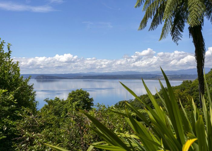 at 5 Puratoke Rise, Pukawa, Taupo, Waikato