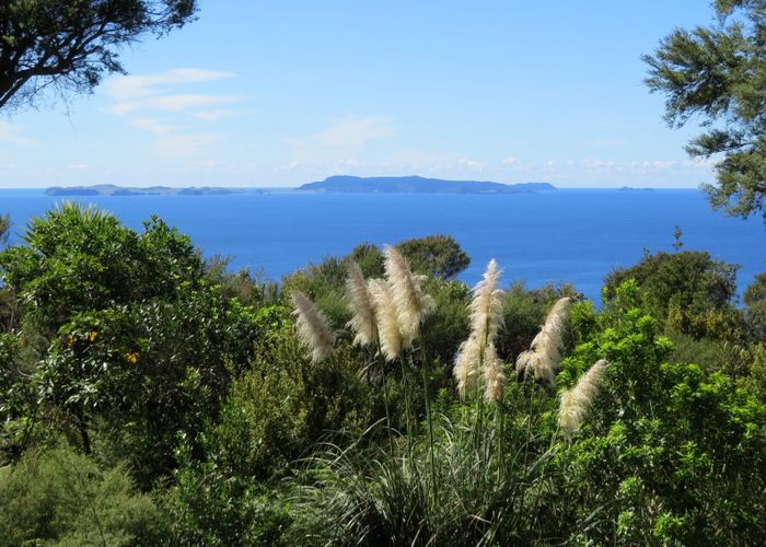  at 537D Tuateawa Road, Tuateawa, Coromandel