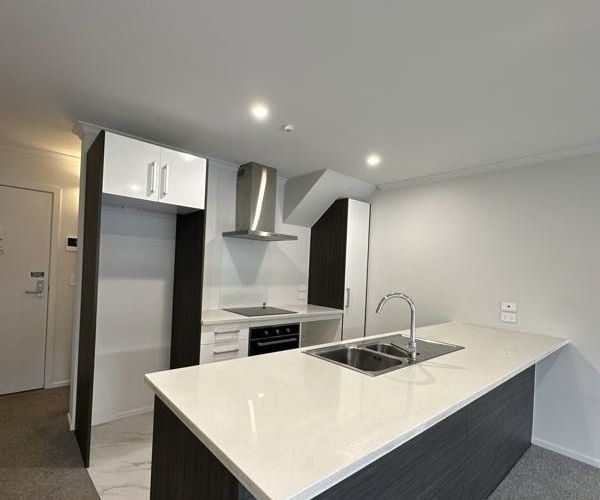 at 113/124 Commerce Street, Frankton, Hamilton