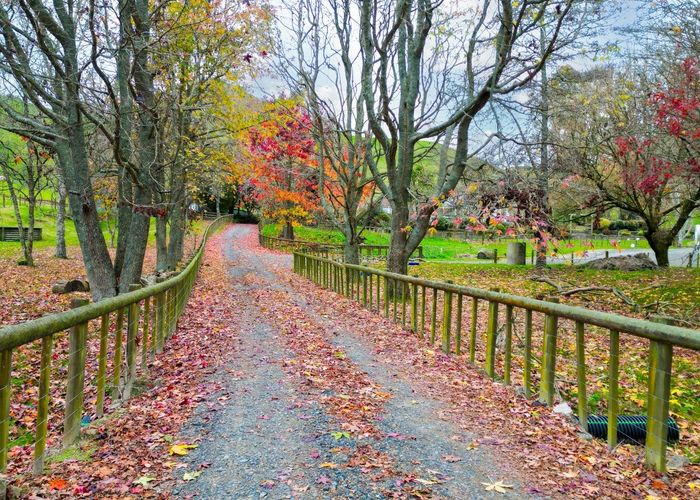  at 344 Galatos Road, Rotorua