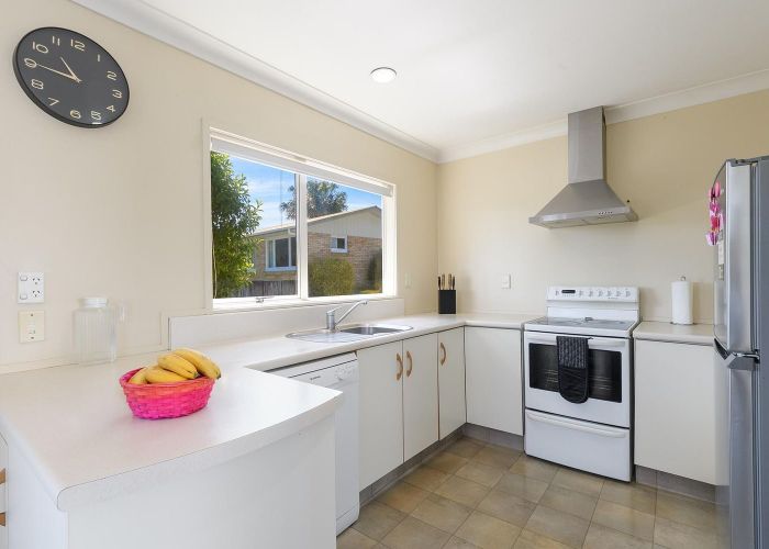  at 16B Bristol Avenue, Brookfield, Tauranga