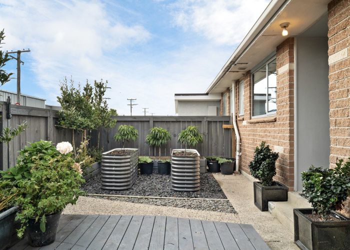  at 17 Fingall Street, South Dunedin, Dunedin