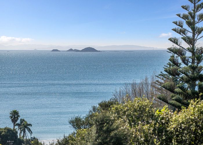  at 56 Hill Road, Palm Beach, Waiheke Island