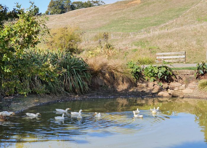  at 1239 Miranda Road, Pokeno