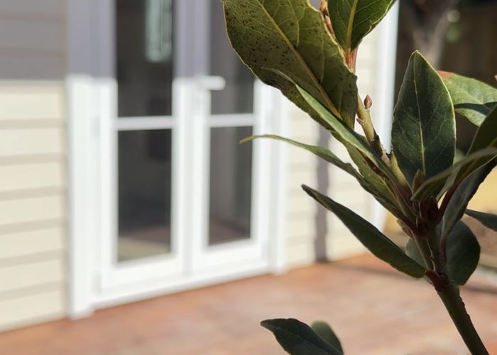  at 3/129 Bristol Street, St. Albans, Christchurch City, Canterbury