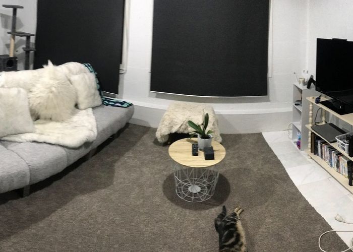  at 213a St Johns rd, Saint Johns, Auckland City, Auckland