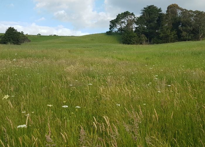  at 88 Heatherlea Drive, Whangarei