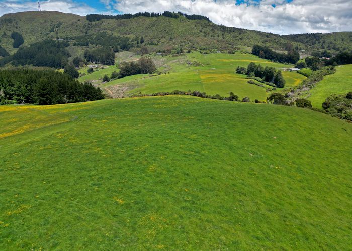  at 304B Pigeon Flat Road, Mt Cargill, Dunedin, Otago