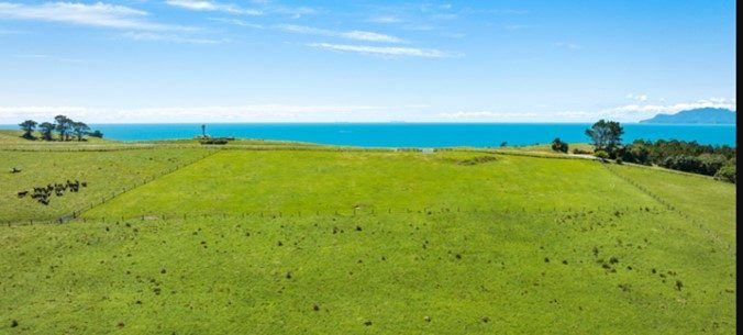  at 98 Cape Rodney Road, Leigh, Rodney, Auckland