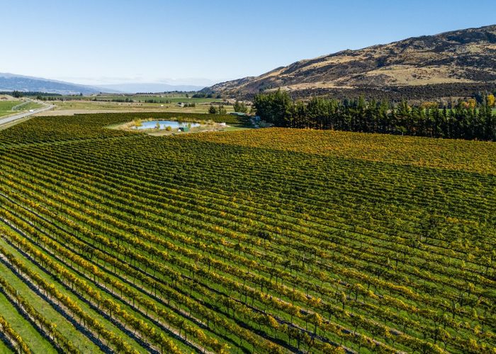  at 1290 Luggate-Tarras Road, Luggate, Wanaka, Otago