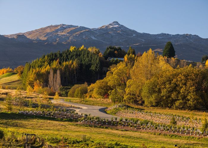  at 20 Station Rise, Dalefield, Queenstown-Lakes, Otago