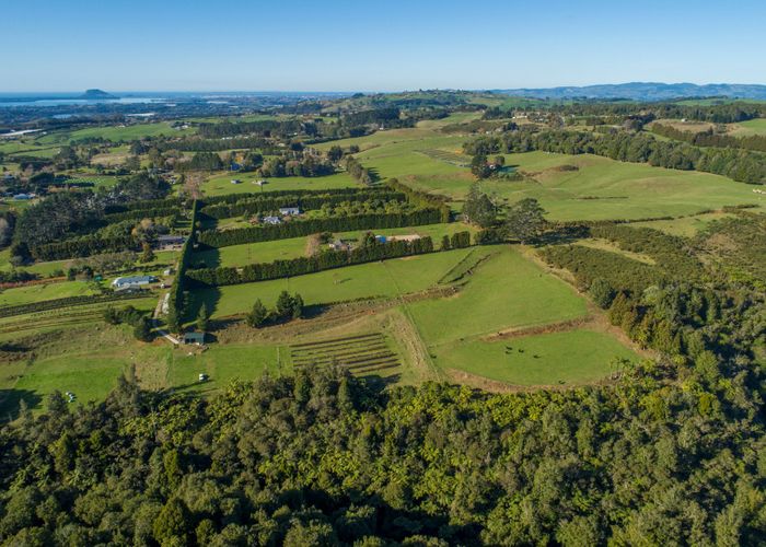  at 9D Mcquade Road, Tauranga