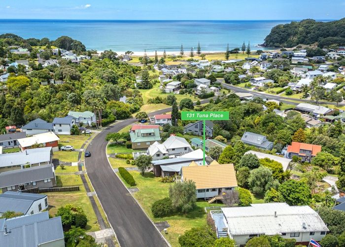 at 131 Tuna Place, Onemana, Thames-Coromandel, Waikato