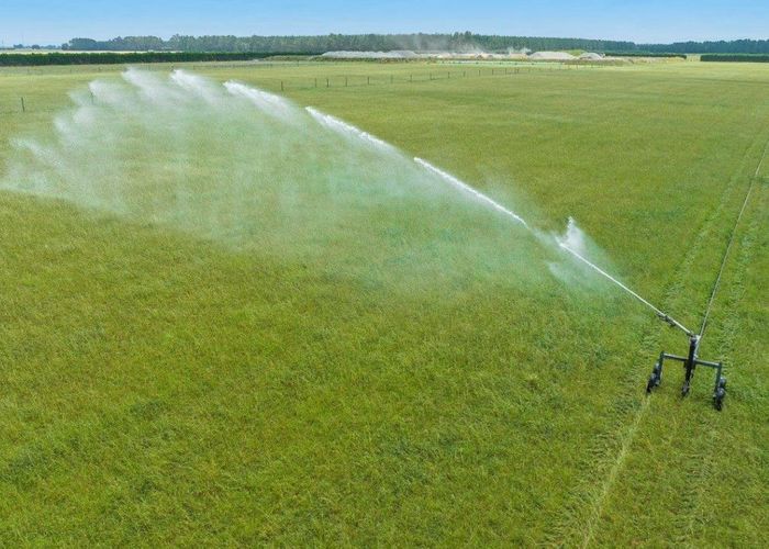 For sale Diversion Road, Swannanoa, Waimakariri, Canterbury homes.co.nz