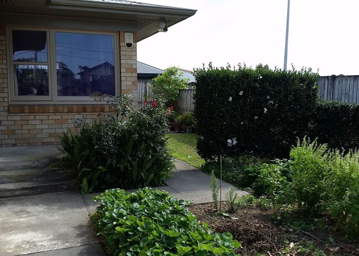  at 29 Fifth Avenue, Enderley, Hamilton, Waikato